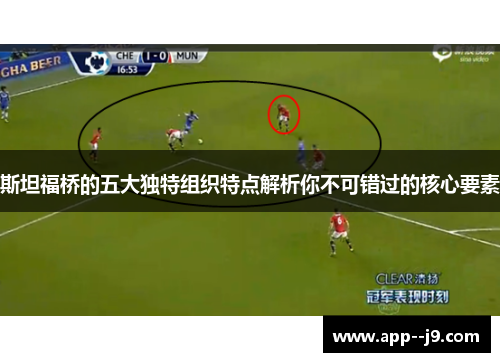 斯坦福桥的五大独特组织特点解析你不可错过的核心要素