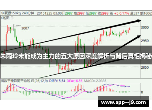朱雨玲未能成为主力的五大原因深度解析与背后真相揭秘
